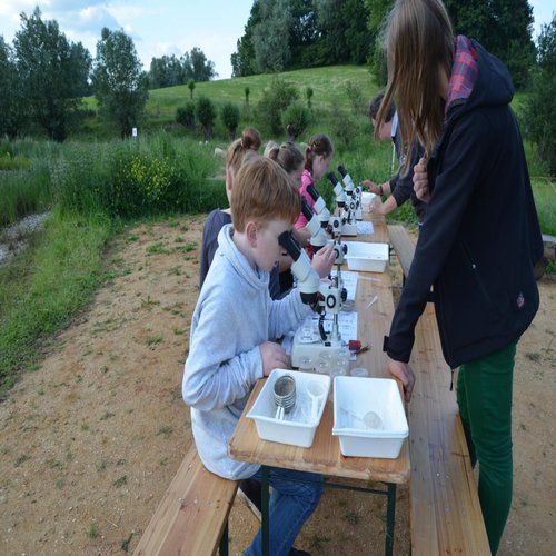 Kinder mikroskopieren beim Jugendaktionstag